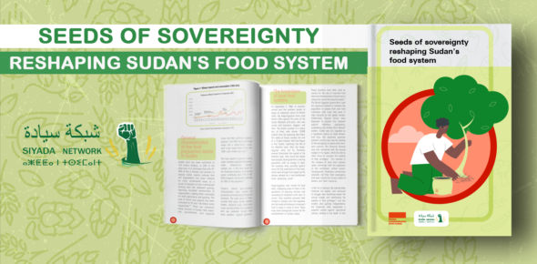 Sudan's food system