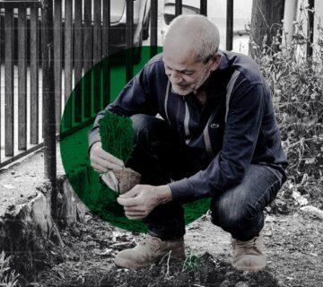 seeds Law in lebanon