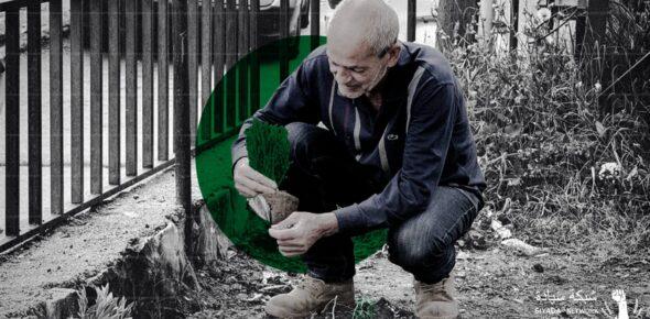 seeds Law in lebanon